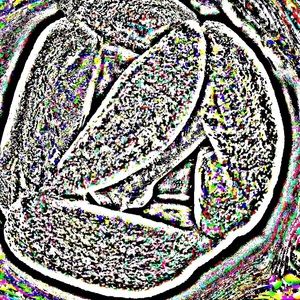 Meet your Posher, Cameron